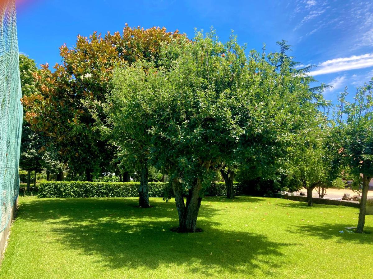 Quinta Dom Sapo - Agroturismo Віана-ду-Каштелу Екстер'єр фото